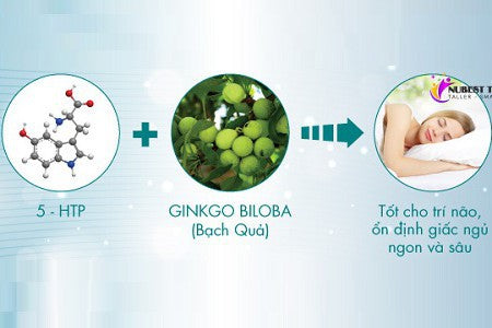 5-HTP và Ginkgo Biloba (Bạch Quả) đối với giấc ngủ và trí não