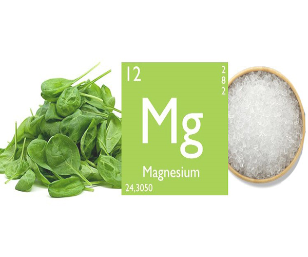 Mg là khoáng chất đóng vai trò quan trọng trong cơ thể người